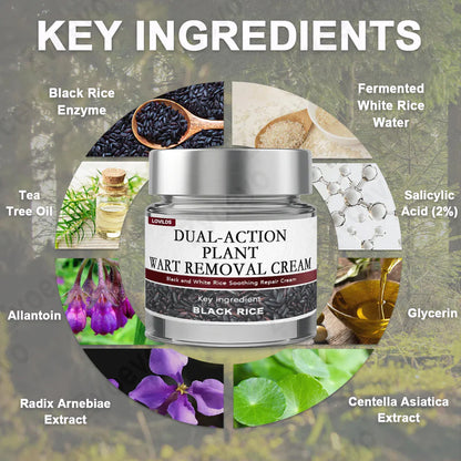 🔥First 300 :2nd ltem 60% Off🔥Black Rice Soothing Repair Cream
