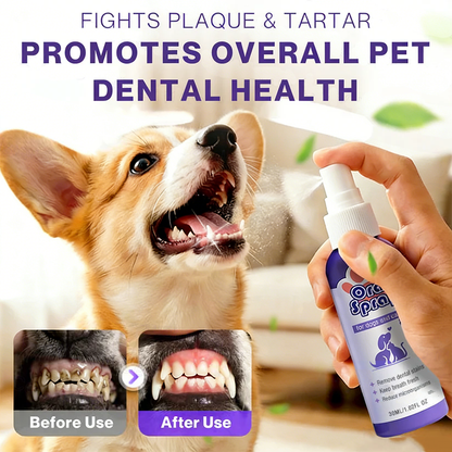 Kaydenth™ Pet Oral Spray ✅FDA Approved | Freshen Breath, Remove Tartar & Promote gum regeneration, stabilize teeth 🦷🦷