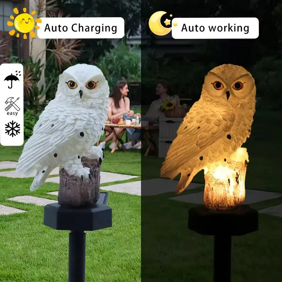 🦉 50% OFF Today – Solar Owl Garden Light | Auto On at Night & 100% Waterproof